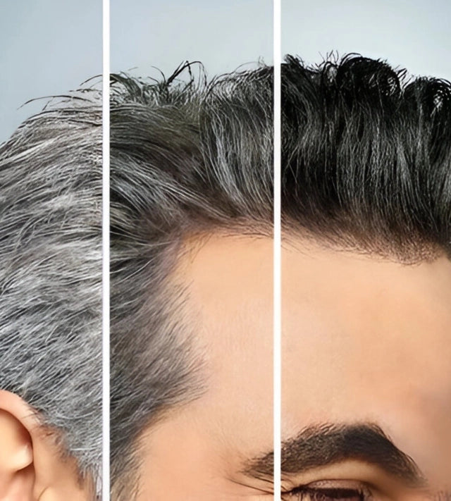 Shampoo Disaar Cubre Canas Color Negro